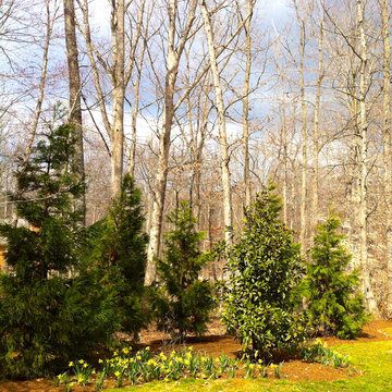 Northern Albemarle County, VA:  Deer Out, People & Plants In