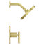 Pfister LG89-7NC Contempra Single Handle Shower Trim Package - Nickel
