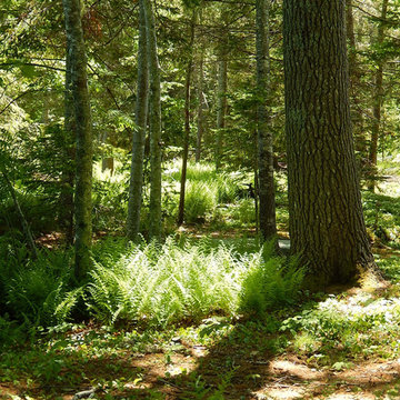 Maritime Woodland Garden