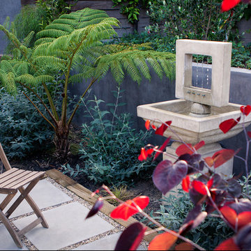 Zen Like Private Garden - Back Yard