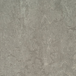 Forbo - Forbo Marmoleum Composition Sheet, Serene Grey - CP-3146 - Flooring