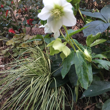 How Ambiance Garden Design was born - My Story
