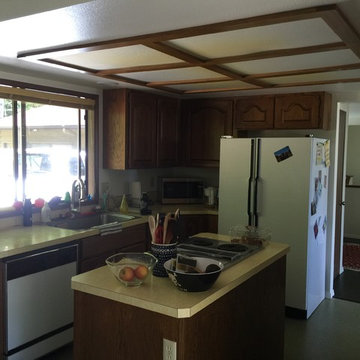 Westside Modern Kitchen