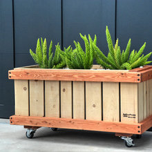 Rolling Planters
