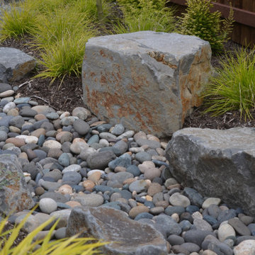 Modern Asian Backyard