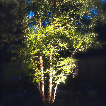 North Shore Oasis