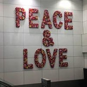 Eve Ketchum's photo