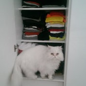 Carla Pinto's photo