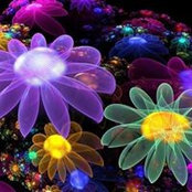 Carol McKnight's photo