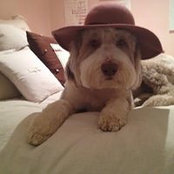 Melanie Korn Stanton's photo