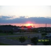 Joy Woodham's photo