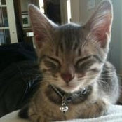 Janice O'Brien's photo
