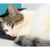 Kim Henrichs's photo