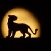 שרה פנחסוביץ's photo