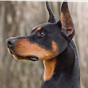 Karen Gallinetti's photo