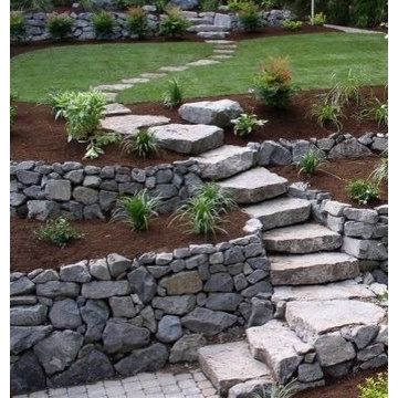 Vibrant Landscape Design