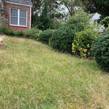 Landscape and Outdoor Property Improvement