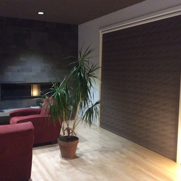 Roller Shade