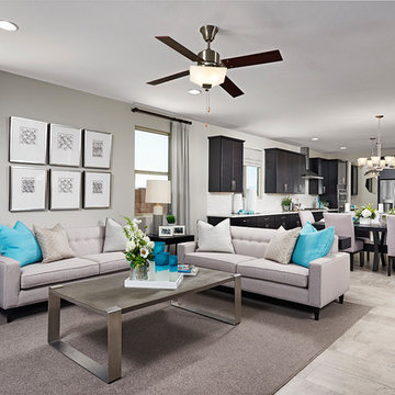 Raleigh model home in Arizona