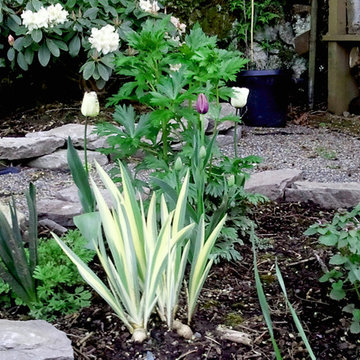 Flower Garden, low maintenance, simple, with stone emphasis