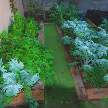 Organic Gardens