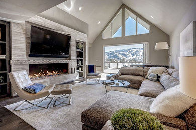 Living room - contemporary living room idea in Denver