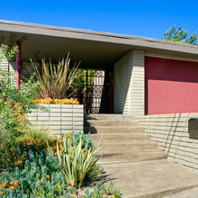 Courtyard Plantings