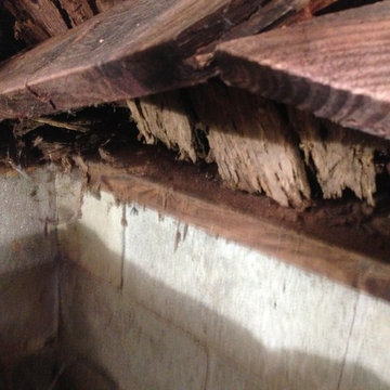 Structural Repair