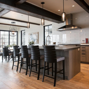 Ski In Ski Out Contemporary home