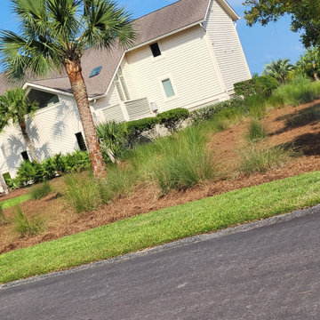 Coastal Landscape Maintenance and Tree Care
