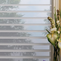 Hunter Douglas Silhouette&reg; - Window Blinds