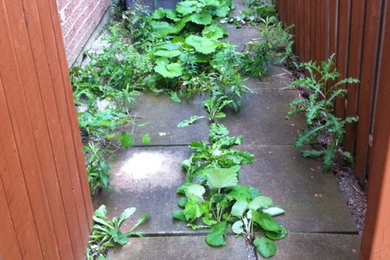 Basement Entrance Project Before