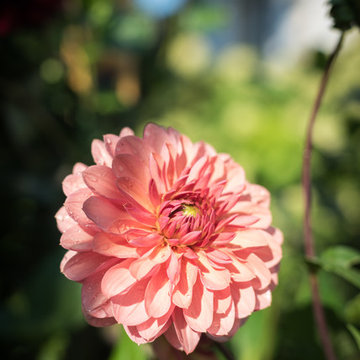 Le jardin de M&Mme Rouer