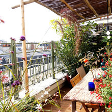 Grüner wird’s nicht – als auf dieser Pariser Dachterrasse