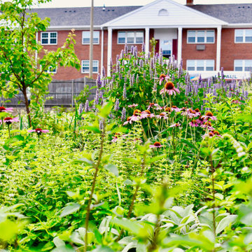 Donated Arlington Community Orchard Open To The Public