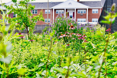 This is an example of a rustic landscaping in Boston.