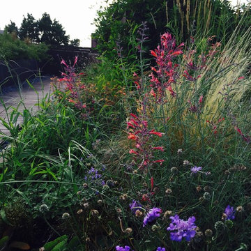 Brooklyn Rooftop Garden
