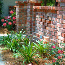 Landscape Ideas