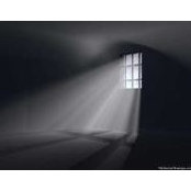 Samia Meneisy's photo