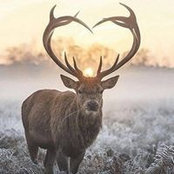 Tony Ros's photo