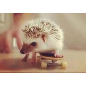 Collette Catons foto