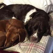 Debbie Falter's photo