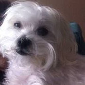 Cathy Moore's photo