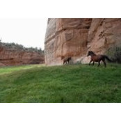 Debra Zeleniak's photo
