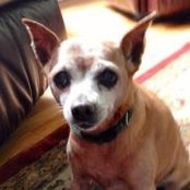 Susan Moon's photo