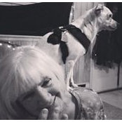 Debi Fite's photo