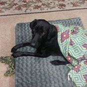 Becky McKay's photo