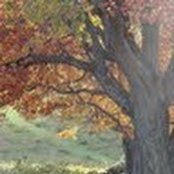 Courtney Finley's photo