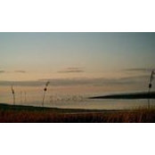 Janice Skinner's photo
