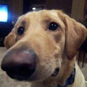 Lisa Durette's photo